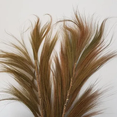 Apartment Op Strand Egmond aan Zee