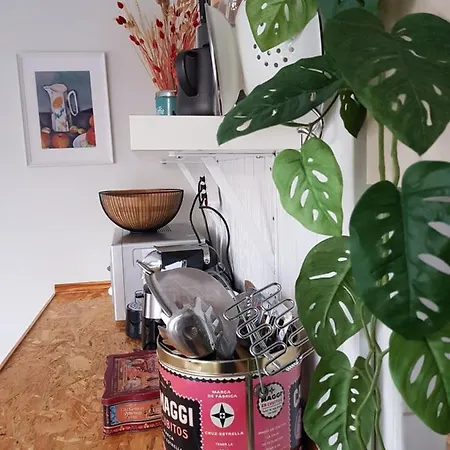 Op Strand דירה אגמונד אן זי