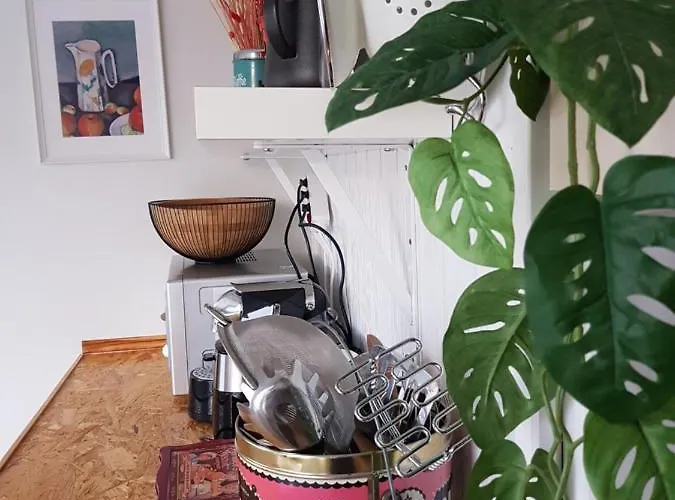 Op Strand شقة إغموند آن زي