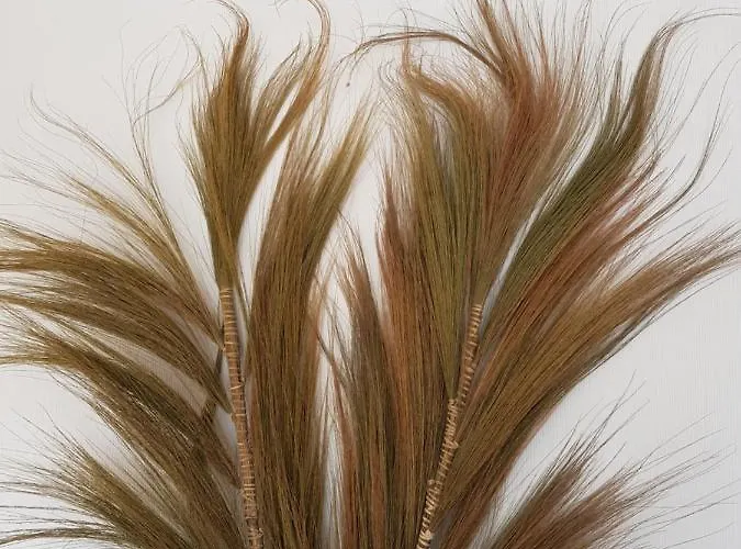 公寓 Op Strand 海边的艾格蒙特